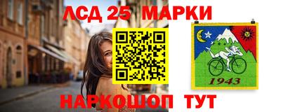 дурь Шелехов