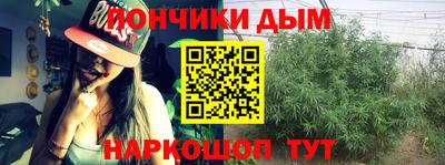 дурь Шелехов